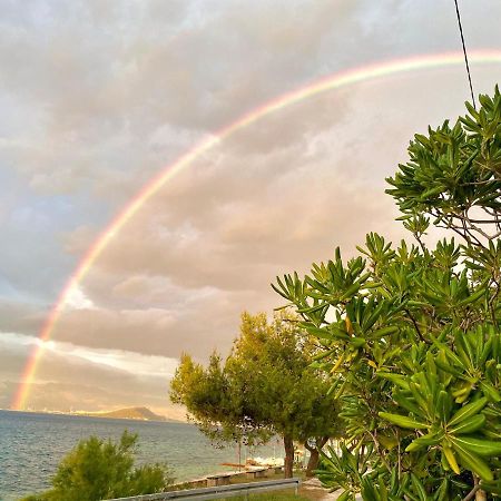 Villa Amica Τρογκίρ Εξωτερικό φωτογραφία